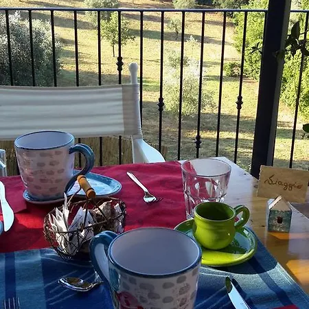 A Prima Vista Oda ve Kahvaltı *